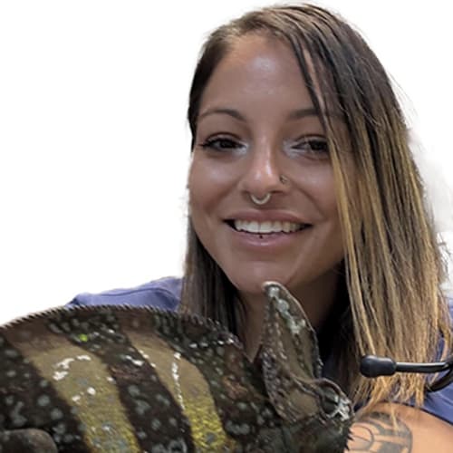 Dr. Athena Font, Ocala Veterinarian