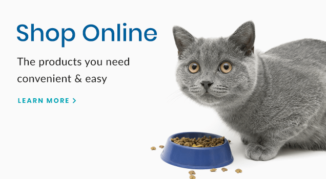 Shop for Pet Products Online